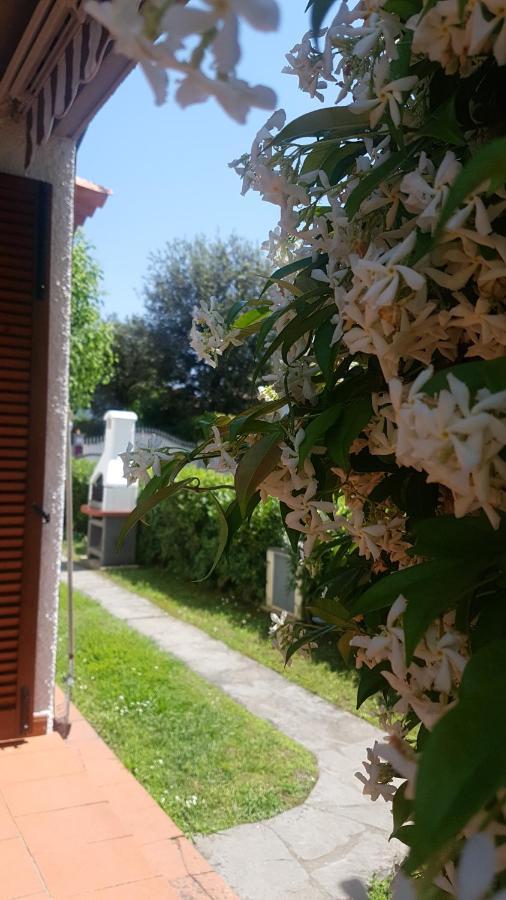 Villetta Cinquale Versilia Екстер'єр фото