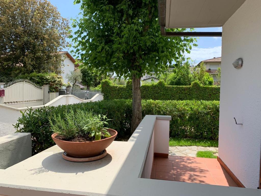 Villetta Cinquale Versilia Екстер'єр фото
